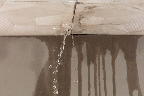 Professional Flood Damage Cleanup technician working in Nelson, NH